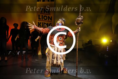 Amsterdam 16 februari 2016 
Presentatie van de Lion king in het stedelijk museum door Albert Verlinde en irene Moors.