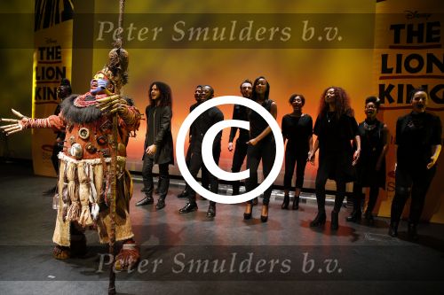 Amsterdam 16 februari 2016 
Presentatie van de Lion king in het stedelijk museum door Albert Verlinde en irene Moors.