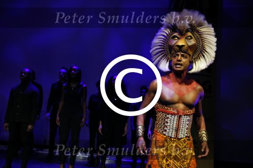 Amsterdam 16 februari 2016 
Presentatie van de Lion king in het stedelijk museum door Albert Verlinde en irene Moors.