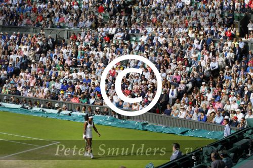 Wimbledon, 7 Juli 2015