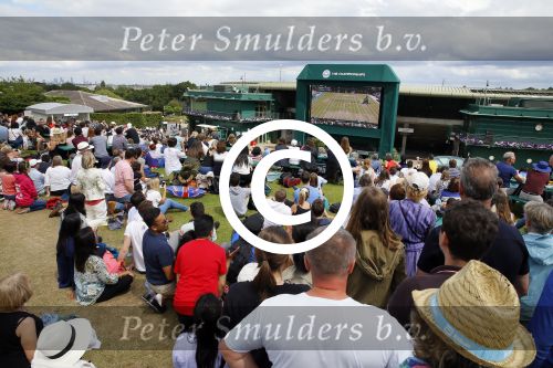 Wimbledon, 7 Juli 2015