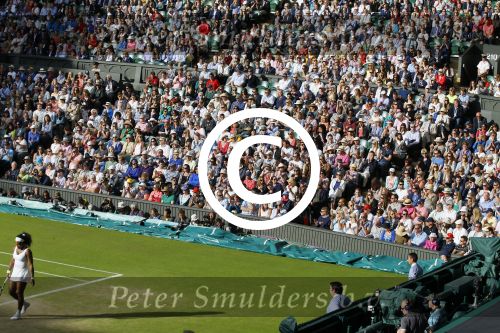 Wimbledon, 7 Juli 2015