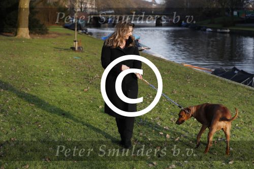 Amsterdam 2 februari 2017
Claudia Schoemacher wandelend met haar hond