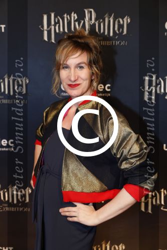 Utrecht 9 februari 2017
Exebition Harry Potter in Cinemec Utrecht. Eva Damen zwanger