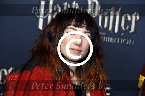 Utrecht 9 februari 2017
Exebition Harry Potter in Cinemec Utrecht. Isis Cabolet