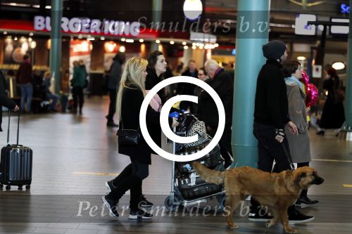 Schiphol 17 februari 2017 
Xander en Sophie de Buisonje komen met hun dochter Cela Lynn en zoon Dex aan op schiphol. Beide ouders familie en Sem v Dijk wachten ze op . Ook de hond is meegekomen.