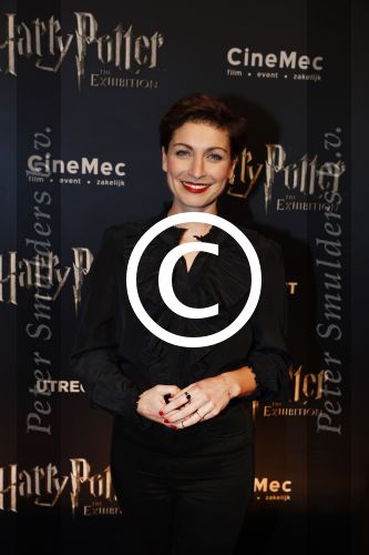 Utrecht 9 februari 2017
Exebition Harry Potter in Cinemec Utrecht. Vivienne v d Assem