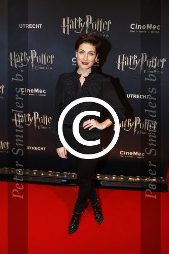 Utrecht 9 februari 2017
Exebition Harry Potter in Cinemec Utrecht. Vivienne v d Assem