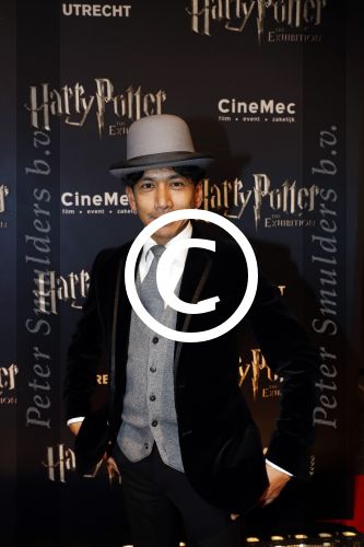 Utrecht 9 februari 2017
Exebition Harry Potter in Cinemec Utrecht. Wibi Soerjadi met nichtjes