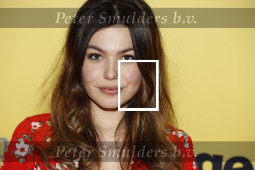 Amsterdam 12 februari 2018
Premiere Gek van Oranje in Tuschinski. Abbey Hoes