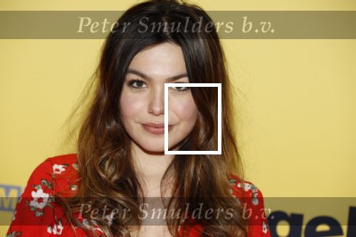 Amsterdam 12 februari 2018
Premiere Gek van Oranje in Tuschinski. Abbey Hoes