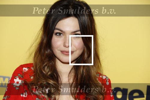 Amsterdam 12 februari 2018
Premiere Gek van Oranje in Tuschinski. Abbey Hoes