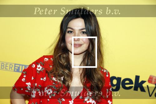 Amsterdam 12 februari 2018
Premiere Gek van Oranje in Tuschinski. Abbey Hoes