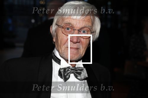 Amsterdam 5 maart 2018 
Buma prijzen in theater Amsterdam