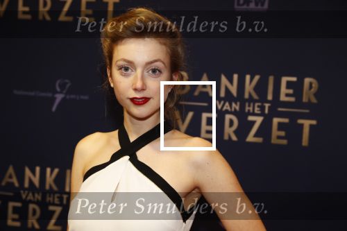 Amsterdam 5 maart 2018
Premiere bankier van het verzet in het de Lemar theater. Ali Zijlstra