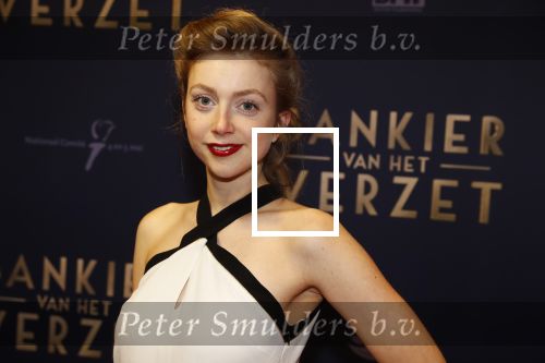 Amsterdam 5 maart 2018
Premiere bankier van het verzet in het de Lemar theater. Ali Zijlstra
