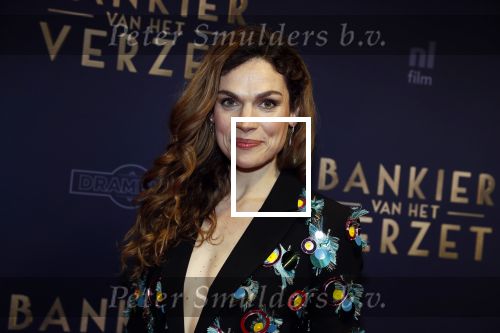 Amsterdam 5 maart 2018
Premiere bankier van het verzet in het de Lemar theater. Benja Bruining met vriendin Anna Drijver