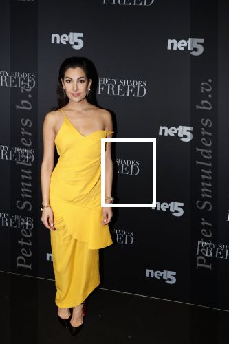Amsterdam 6 februari 2018
Premiere 50 shades Freed in Tuschinski. Anna Nooshin