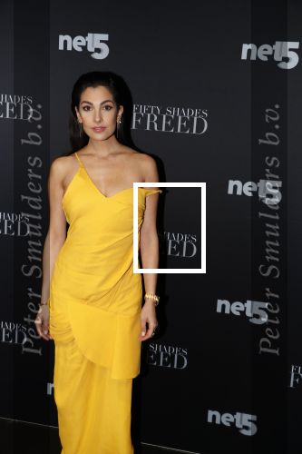 Amsterdam 6 februari 2018
Premiere 50 shades Freed in Tuschinski. Anna Nooshin