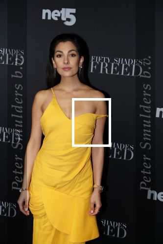 Amsterdam 6 februari 2018
Premiere 50 shades Freed in Tuschinski. Anna Nooshin