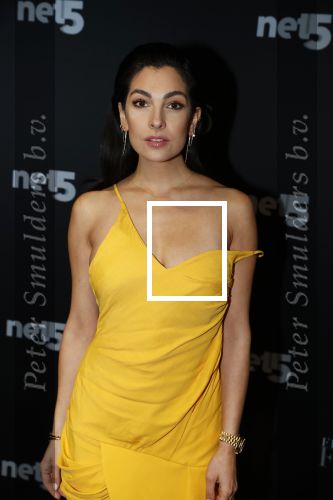 Amsterdam 6 februari 2018
Premiere 50 shades Freed in Tuschinski. Anna Nooshin