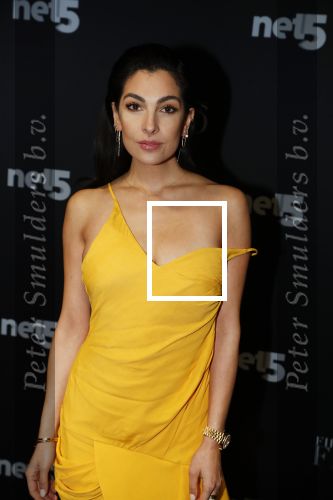 Amsterdam 6 februari 2018
Premiere 50 shades Freed in Tuschinski. Anna Nooshin