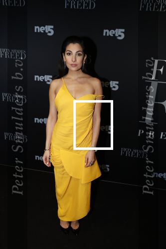 Amsterdam 6 februari 2018
Premiere 50 shades Freed in Tuschinski. Anna Nooshin