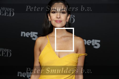Amsterdam 6 februari 2018
Premiere 50 shades Freed in Tuschinski. Anna Nooshin
