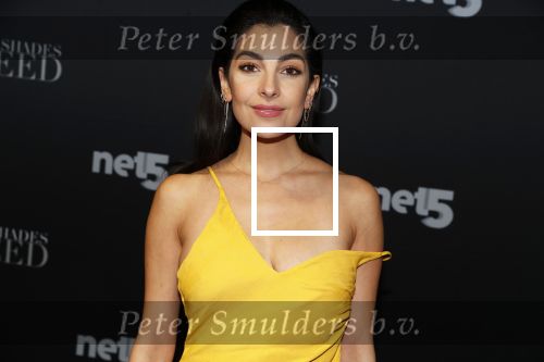 Amsterdam 6 februari 2018
Premiere 50 shades Freed in Tuschinski. Anna Nooshin