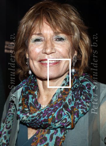 Amsterdam 9 maart 2018 
Boekenbal 2018 in de schouwburg van Amsterdam. Annemarie Oster