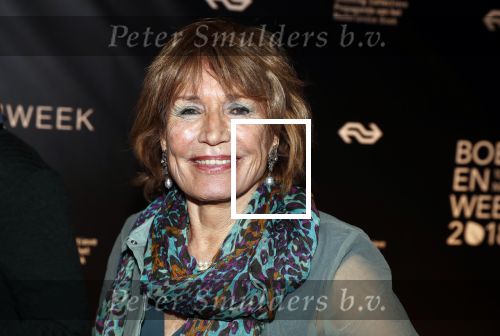 Amsterdam 9 maart 2018 
Boekenbal 2018 in de schouwburg van Amsterdam. Annemarie Oster