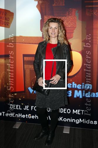 Amsterdam 11 februari 2018
Premiere Ted en het geheim van koning Midas in Pathe arena. Annette Barlo met zoon en vriendjes