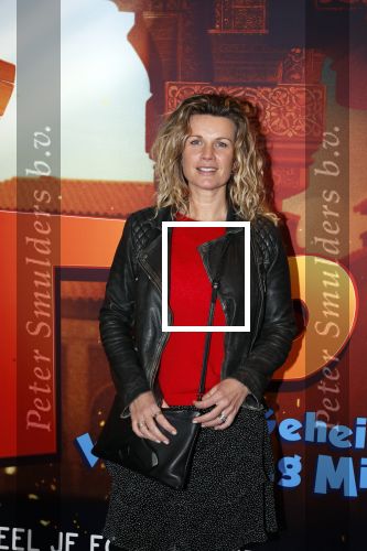 Amsterdam 11 februari 2018
Premiere Ted en het geheim van koning Midas in Pathe arena. Annette Barlo met zoon en vriendjes
