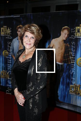 Amsterdam 5 februari 2018
Premiere van the full monty in het nieuwe de la mar theater. Astrid Engels