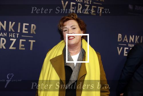 Amsterdam 5 maart 2018
Premiere bankier van het verzet in het de Lemar theater.