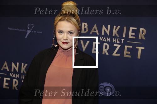 Amsterdam 5 maart 2018
Premiere bankier van het verzet in het de Lemar theater.