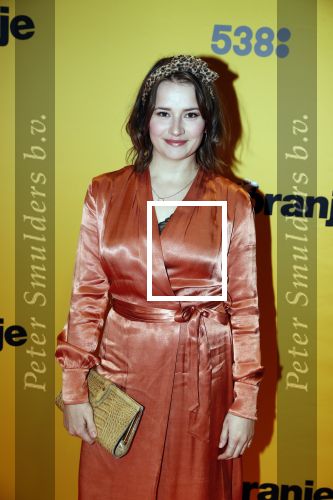 Amsterdam 12 februari 2018
Premiere Gek van Oranje in Tuschinski. Barbara Sloesen
