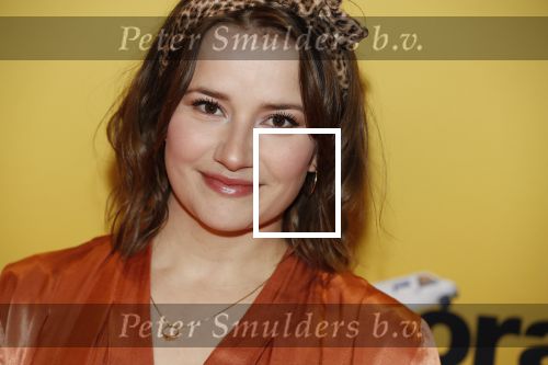 Amsterdam 12 februari 2018
Premiere Gek van Oranje in Tuschinski. Barbara Sloesen