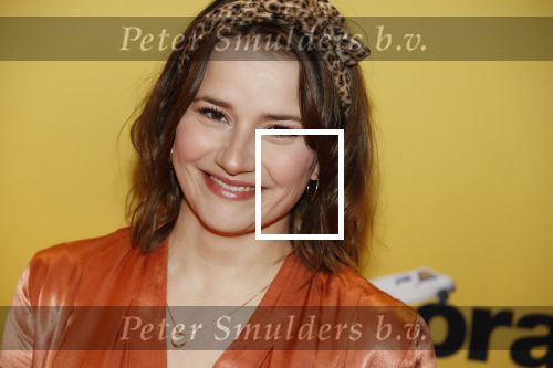 Amsterdam 12 februari 2018
Premiere Gek van Oranje in Tuschinski. Barbara Sloesen