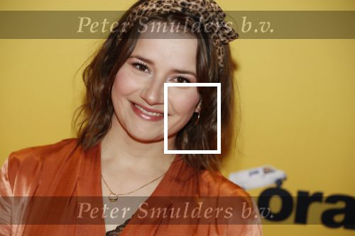 Amsterdam 12 februari 2018
Premiere Gek van Oranje in Tuschinski. Barbara Sloesen