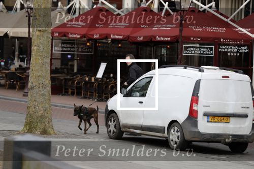 Amsterdam 6 maart 2018
Beveiliging met honden bij opbames RTL Late night in NH hotel Schiller