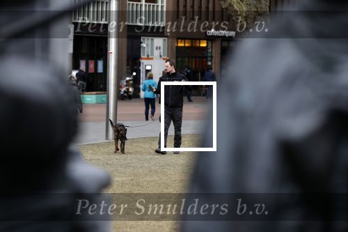 Amsterdam 6 maart 2018
Beveiliging met honden bij opbames RTL Late night in NH hotel Schiller