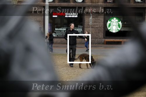 Amsterdam 6 maart 2018
Beveiliging met honden bij opbames RTL Late night in NH hotel Schiller