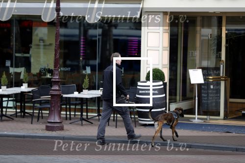 Amsterdam 6 maart 2018
Beveiliging met honden bij opbames RTL Late night in NH hotel Schiller