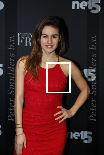 Amsterdam 6 februari 2018
Premiere 50 shades Freed in Tuschinski. brugklas actrices