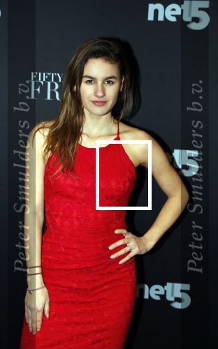 Amsterdam 6 februari 2018
Premiere 50 shades Freed in Tuschinski. brugklas actrices