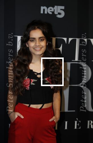 Amsterdam 6 februari 2018
Premiere 50 shades Freed in Tuschinski. brugklas actrices
