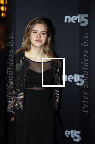 Amsterdam 6 februari 2018
Premiere 50 shades Freed in Tuschinski. brugklas actrices