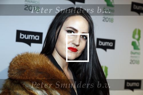 Amsterdam 5 maart 2018 
Buma prijzen in theater Amsterdam