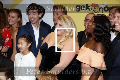 Amsterdam 12 februari 2018
Premiere Gek van Oranje in Tuschinski. cast